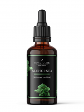 Alchornea 1:5 Alchornea cordifolia