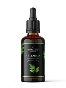 Artemisia 1:3 Artemisia annua
