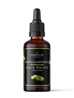 Black Walnut 1:3 Juglans nigra