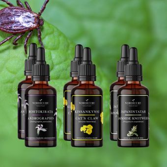 Buhner Core monthly package 