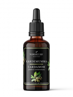 Cardamom 1:3 Elettaria cardamomum