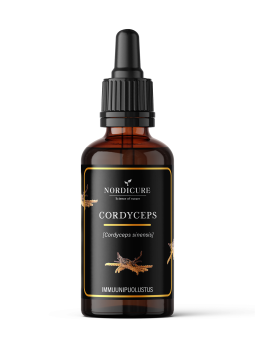 Cordyceps 1:3 Cordyceps sinensis