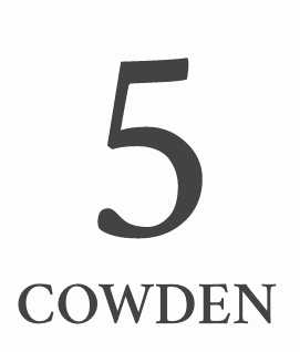 Cowden Support 5