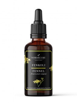 Fennel 1:2 Foeniculum vulgare