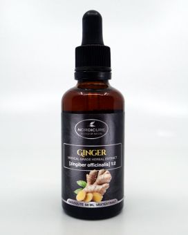 Ginger 1:2 Zingiber officinalis