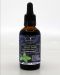 Holy Basil 1:3 Ocimum sanctum