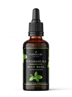 Holy Basil 1:3 Ocimum sanctum