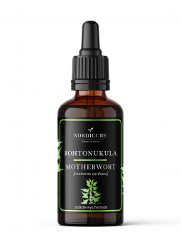 Motherwort 1:2 Leonurus cardiaca