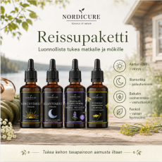 Reissupaketti