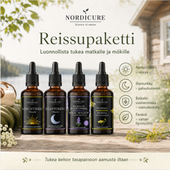 Reissupaketti
