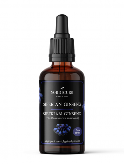 Siberian ginseng 1:1 Eleutherococcus senticosus
